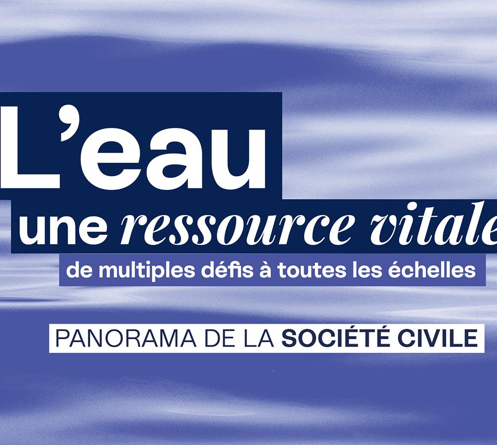 Rapport eau Société civile
