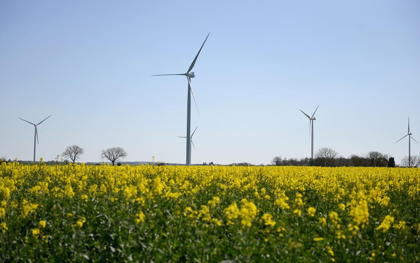 Eoliennes à Voulême