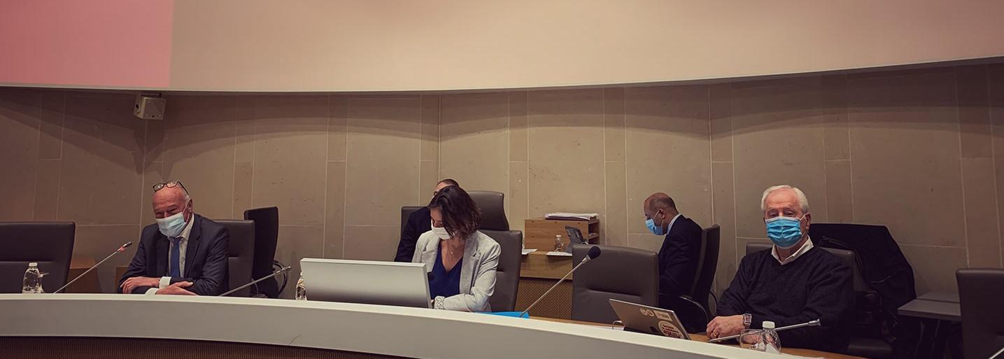 Plénière  du CESER du 24 mars 2021