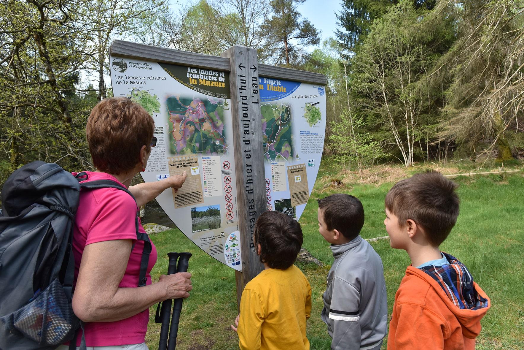Education à l'environnement