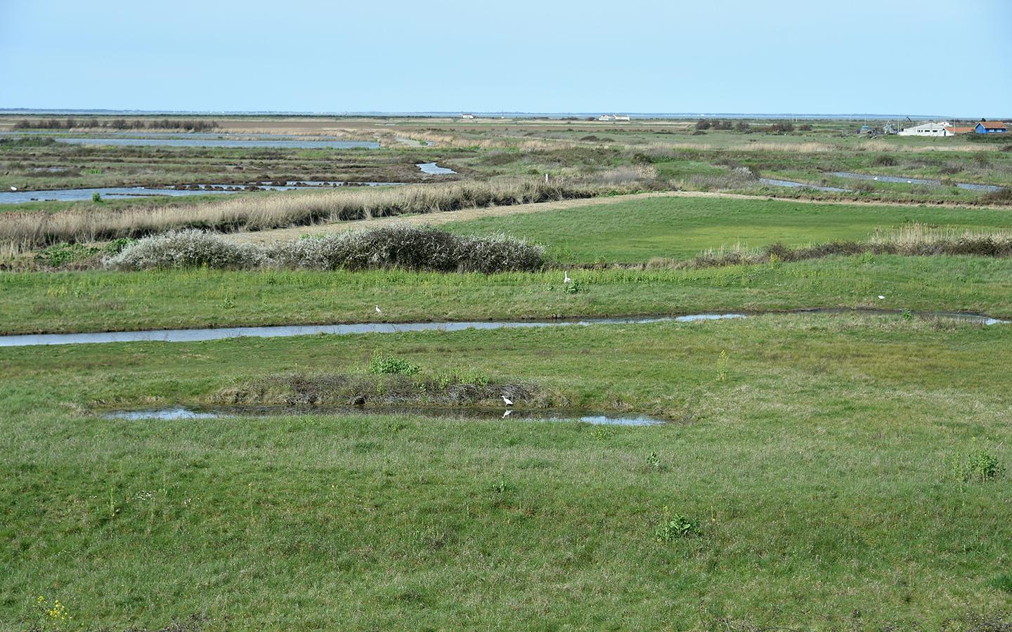 Marais Hiers-Brouage