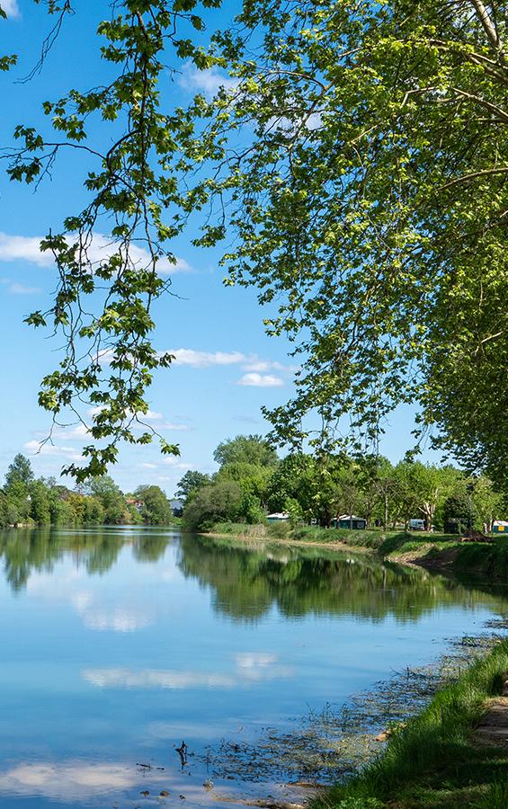 L'Adour dans les Landes