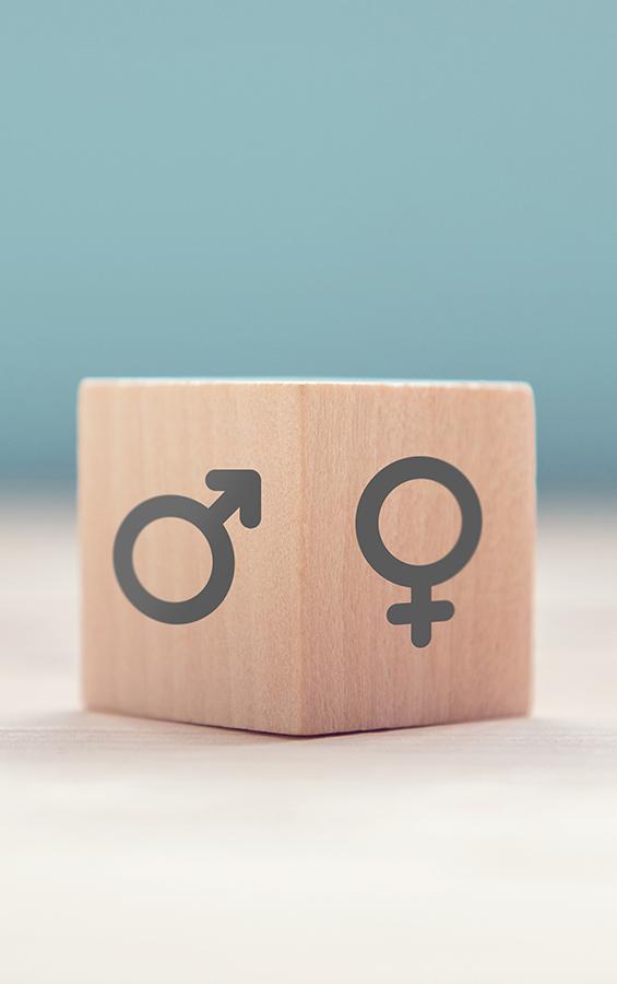 égalité femmes et hommes