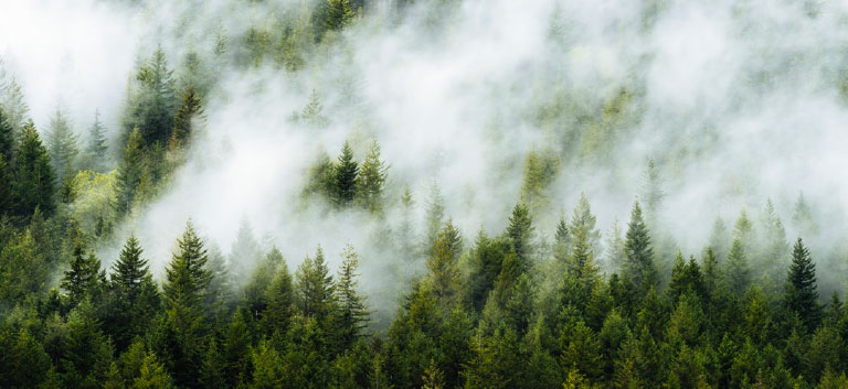 Déclaration d'accessibilité